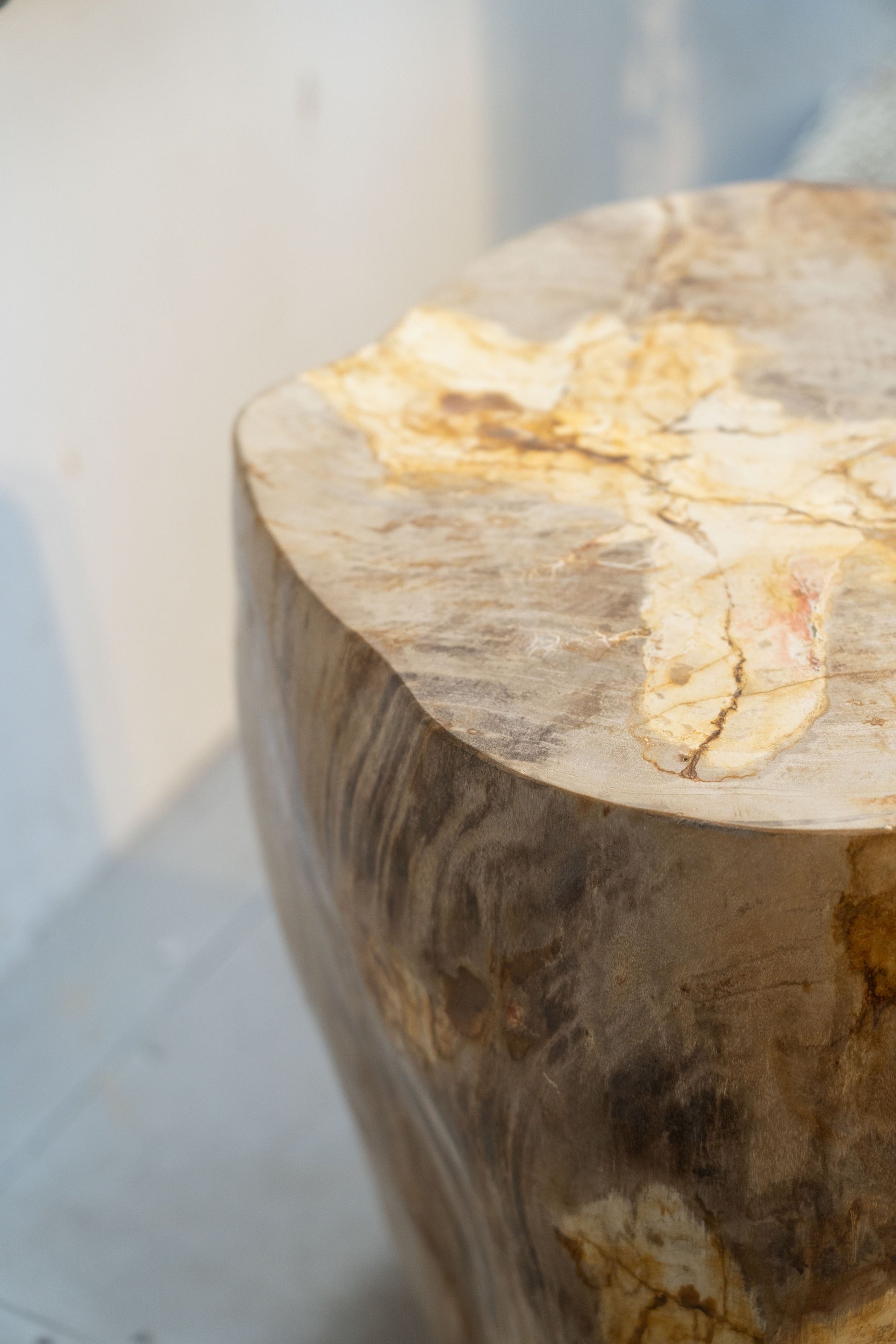 Petrified Wood Side Table \ Stool