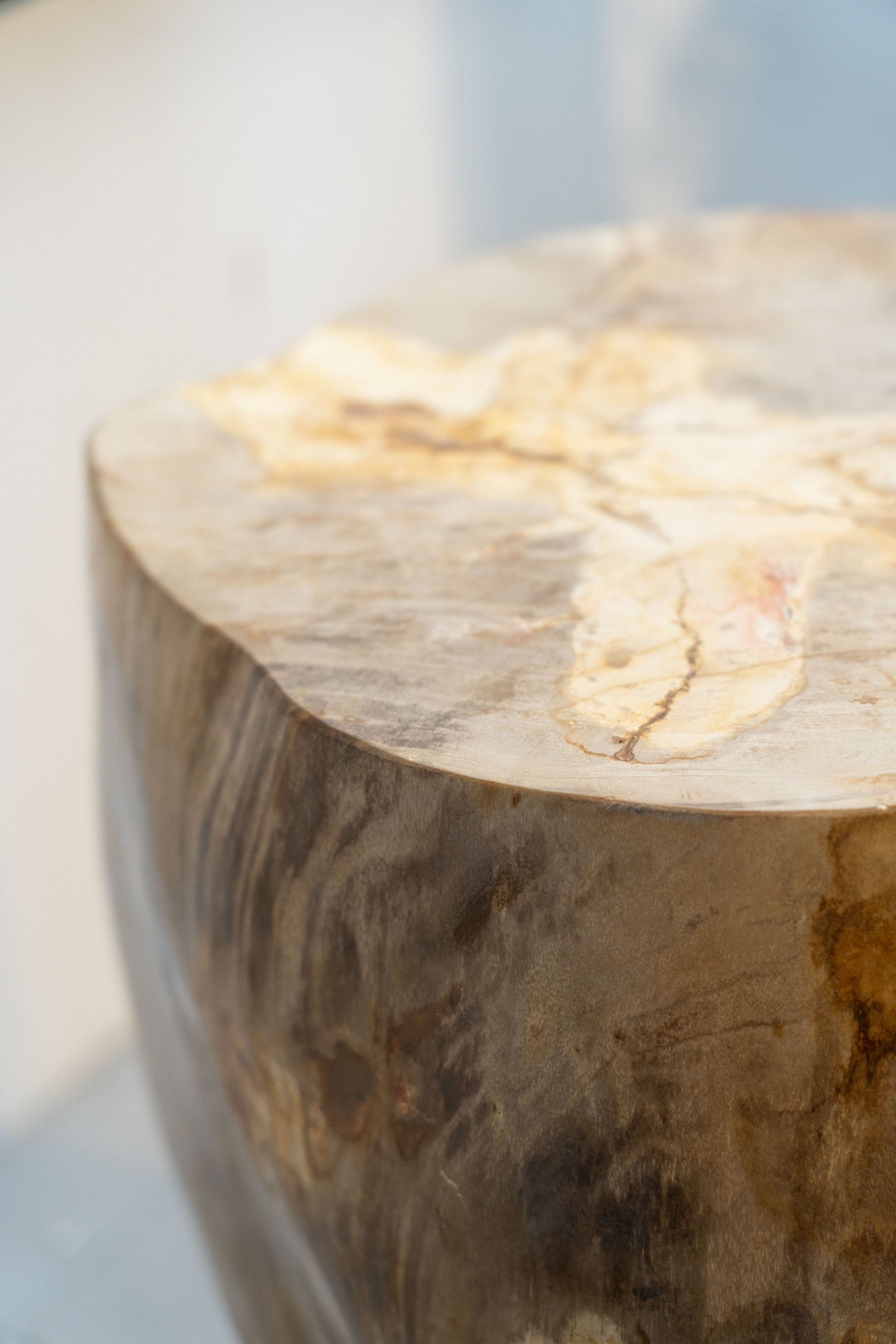 Petrified Wood Side Table \ Stool