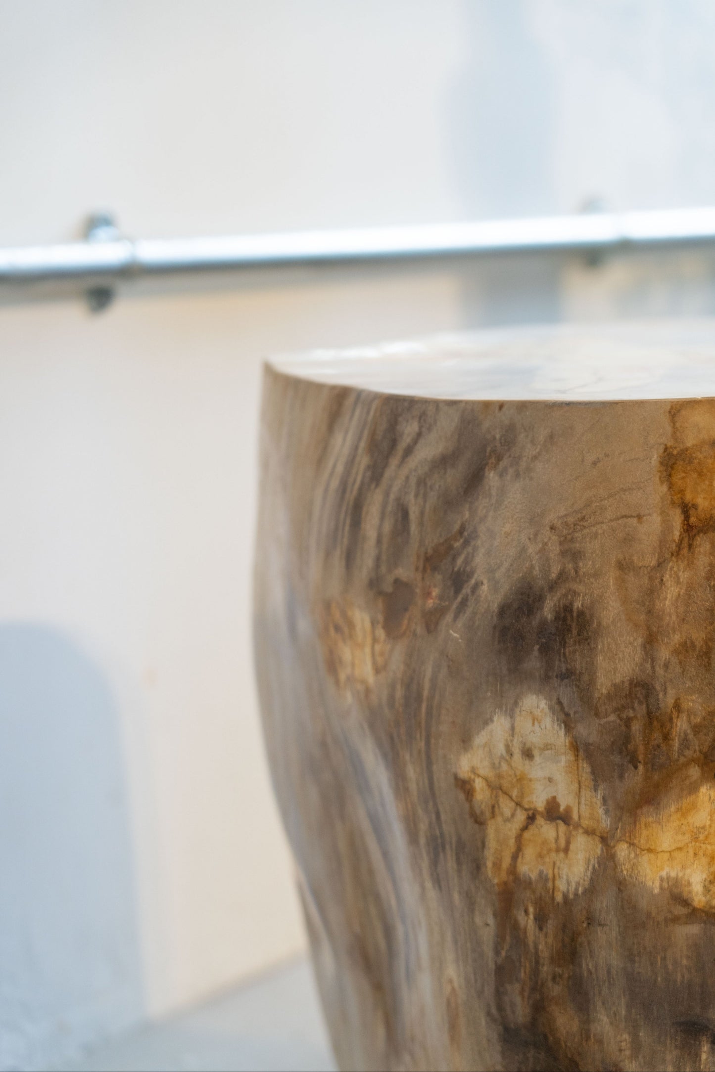 Petrified Wood Side Table / Stool
