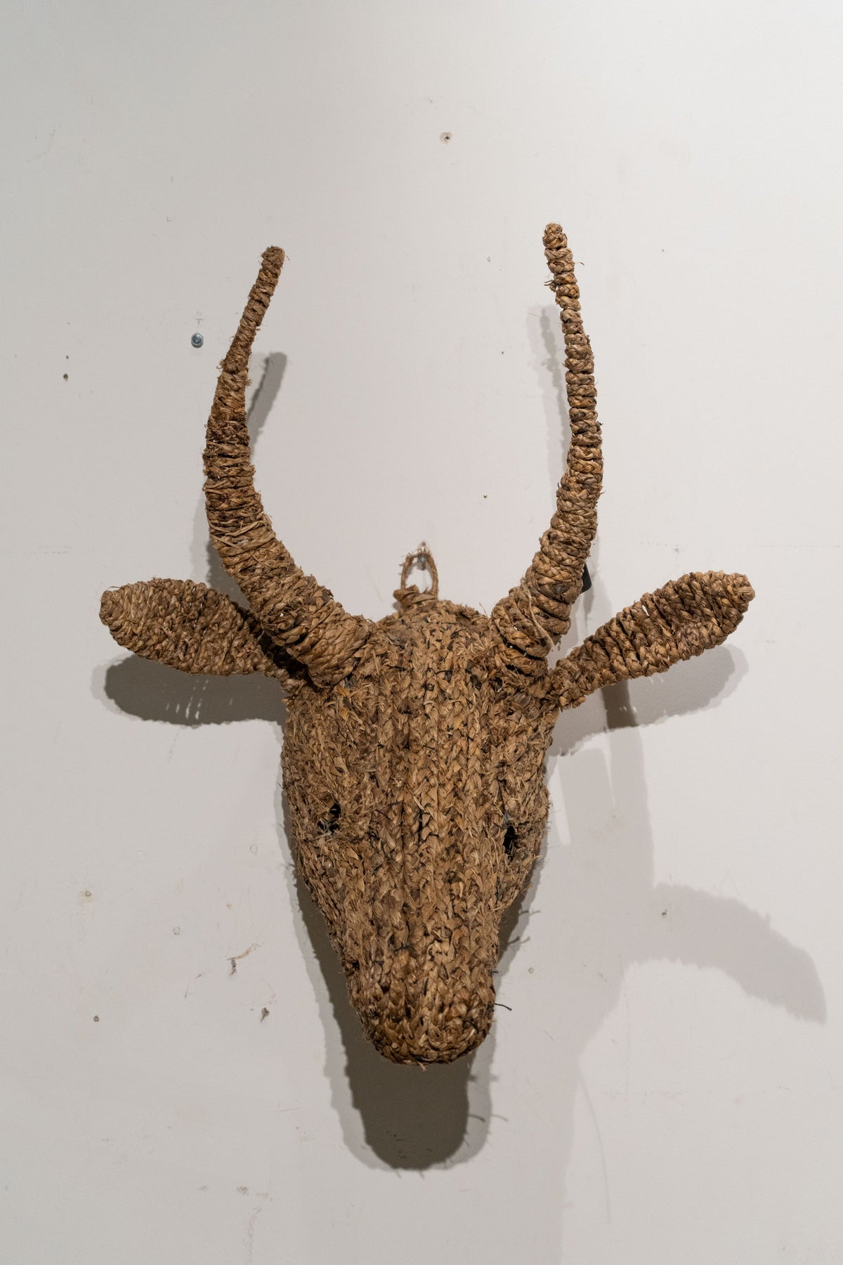 Cow Jude Wall Sculpture