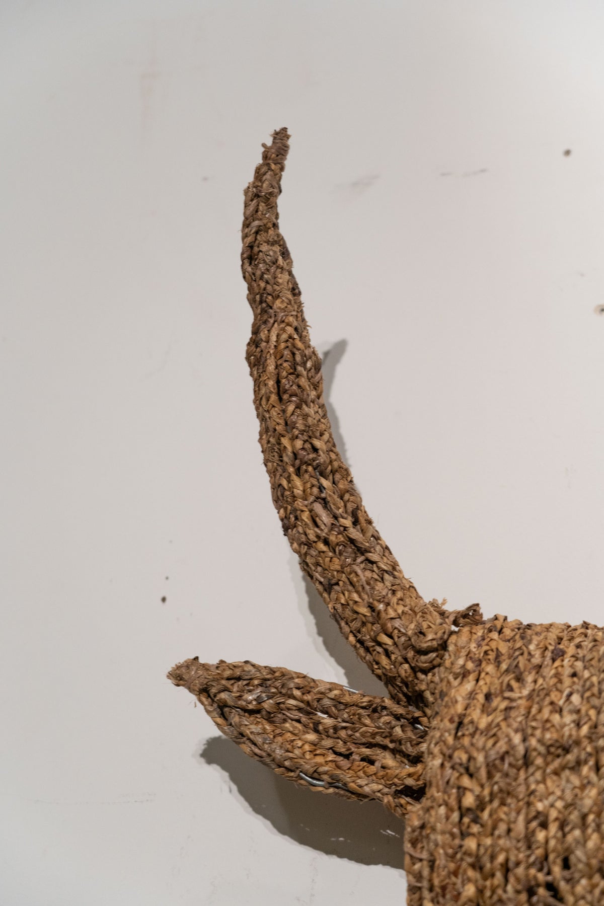 Bull Jude Wall Sculpture