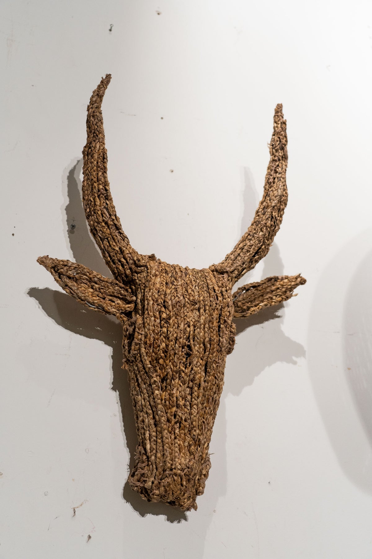 Bull Jude Wall Sculpture