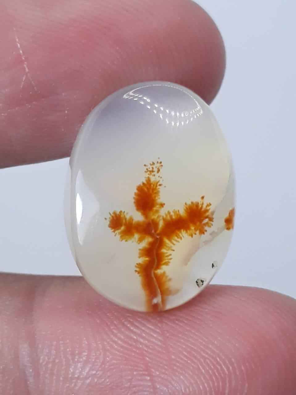 14.7ct Natural Dendritic Agate - Shajri Aqeeq - Dimension-18x13mm