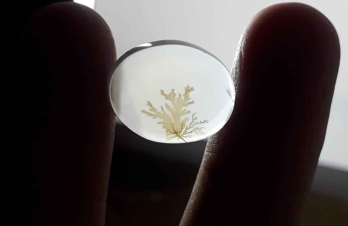 8.7ct Natural Dendritic Agate - Shajri Aqeeq - Dimension-16x12mm