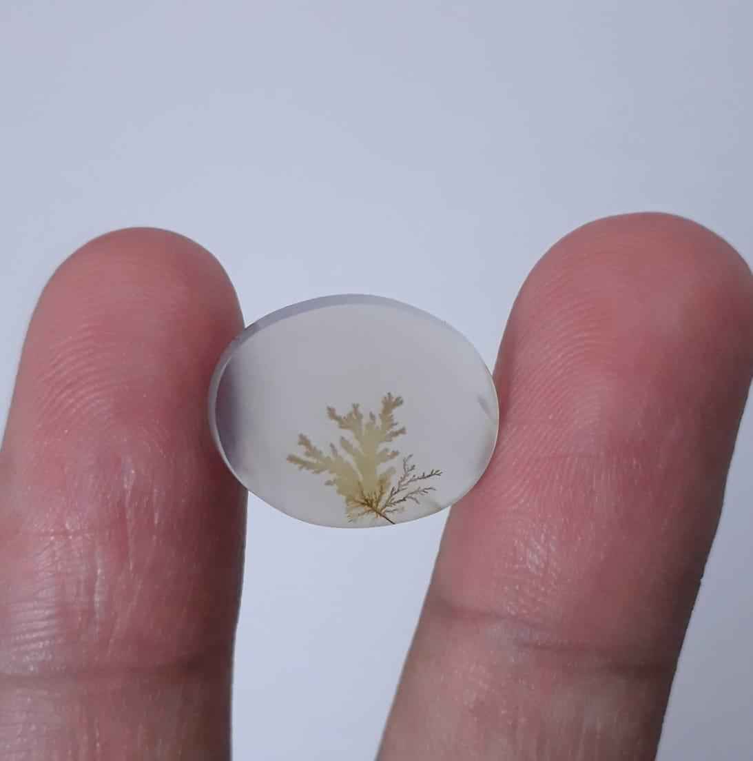8.7ct Natural Dendritic Agate - Shajri Aqeeq - Dimension-16x12mm