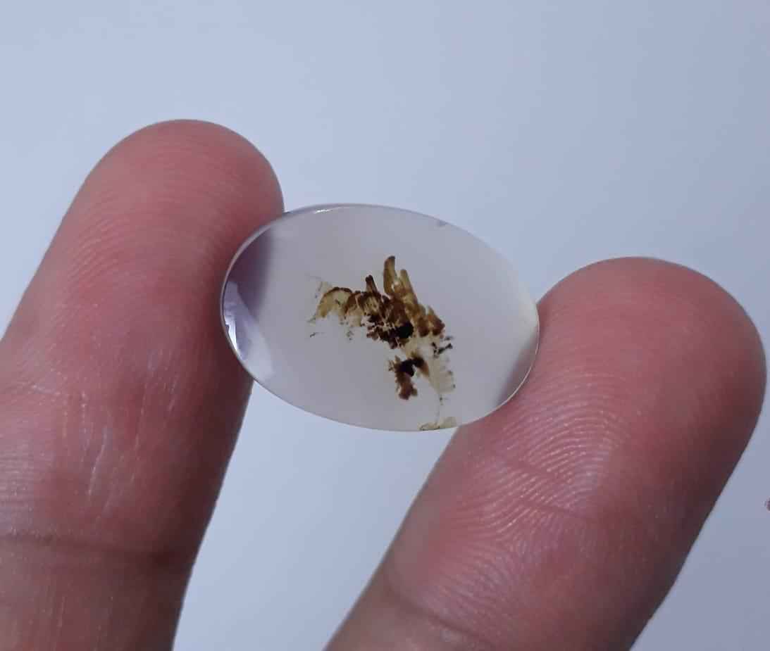 8.9ct Natural Dendritic Agate - Shajri Aqeeq - Dimension-18x12mm
