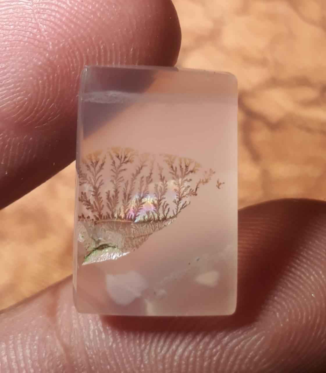 11.8ct Natural Dendritic Agate - Shajri Aqeeq - Dimension-19x12.3mm