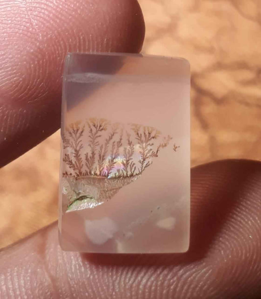 11.8ct Natural Dendritic Agate - Shajri Aqeeq - Dimension-19x12.3mm