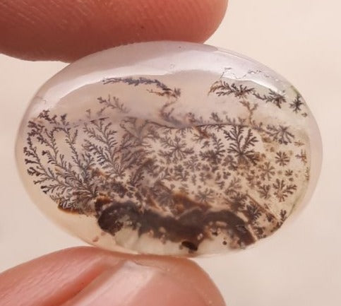 17.8ct Natural Dendritic Agate - Shajri Aqeeq - Dimension-21x15mm