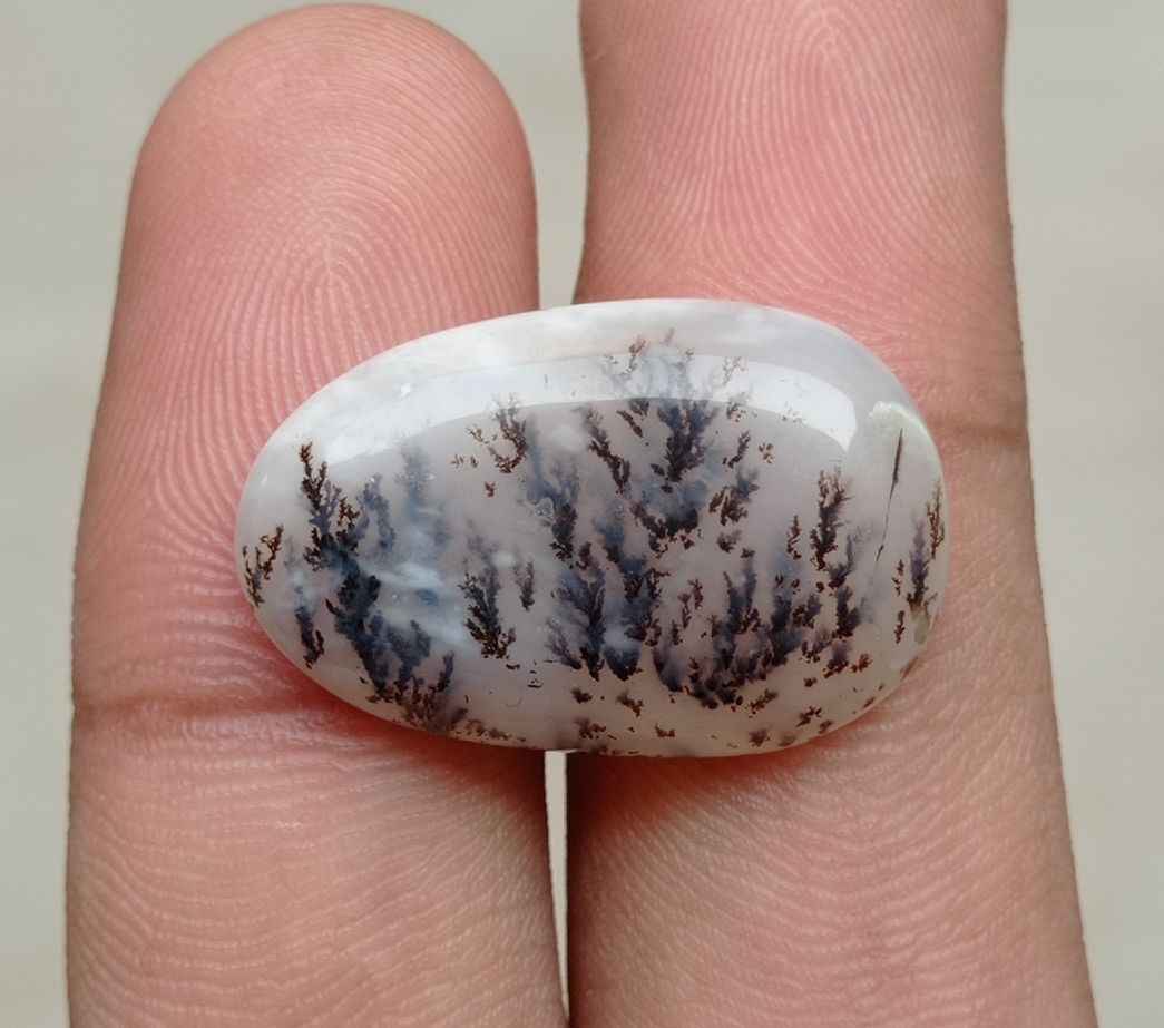 20.8ct Natural Dendritic Agate - Shajri Aqeeq - 26x17x5mm
