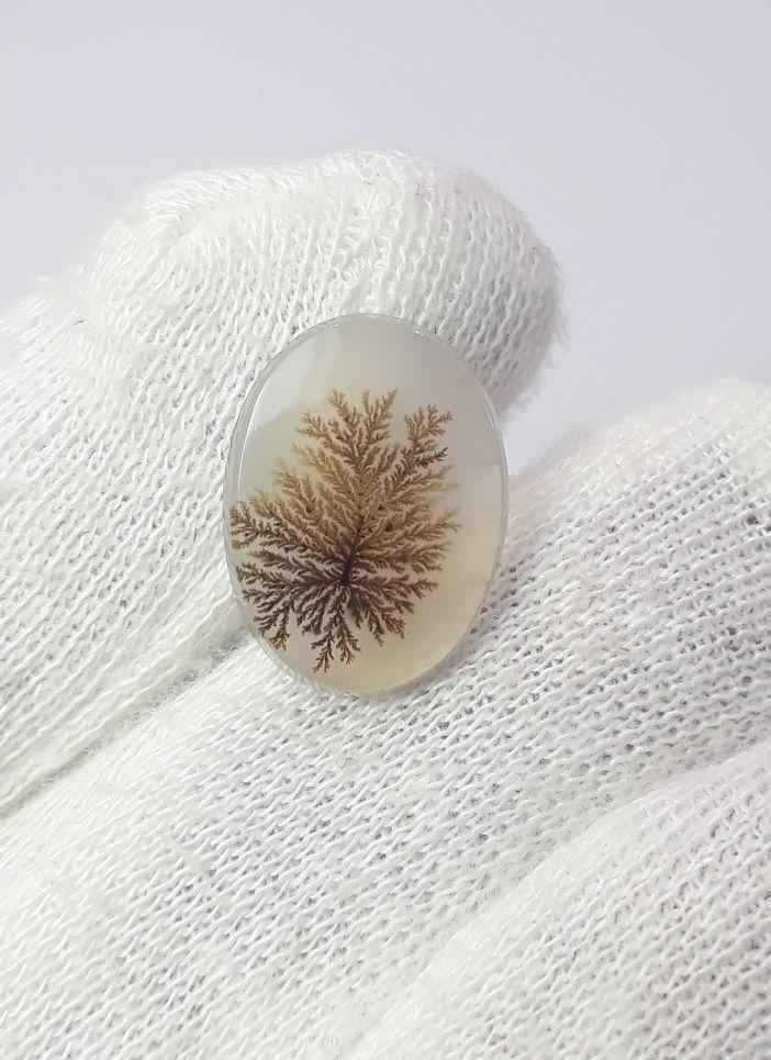 5.8ct Natural Dendritic Agate - Shajri Aqeeq - Dimension-17x13mm