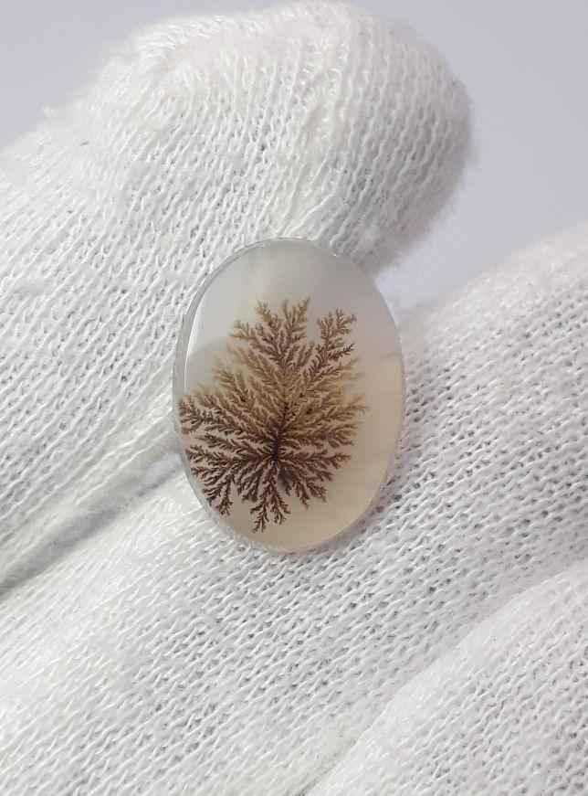 5.8ct Natural Dendritic Agate - Shajri Aqeeq - Dimension-17x13mm