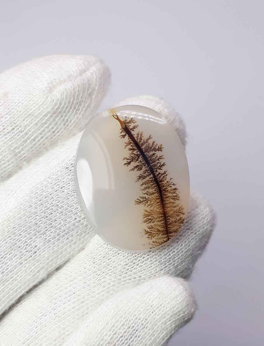 27.6ct Natural Dendritic Agate - Shajri Aqeeq- Dimension-29x23mm