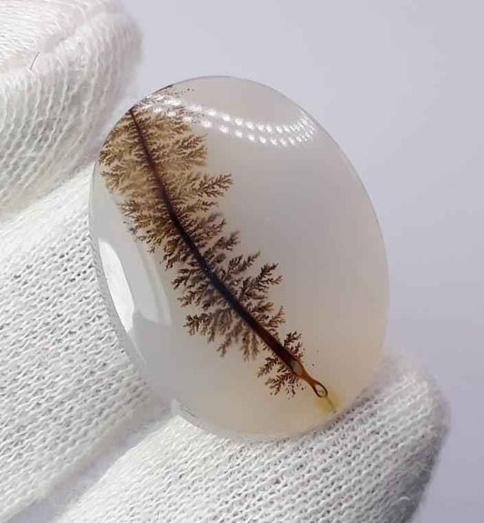 27.6ct Natural Dendritic Agate - Shajri Aqeeq- Dimension-29x23mm