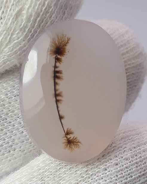 19.1ct Natural Dendritic Agate - Shajri Aqeeq -Dimension-24x18mm