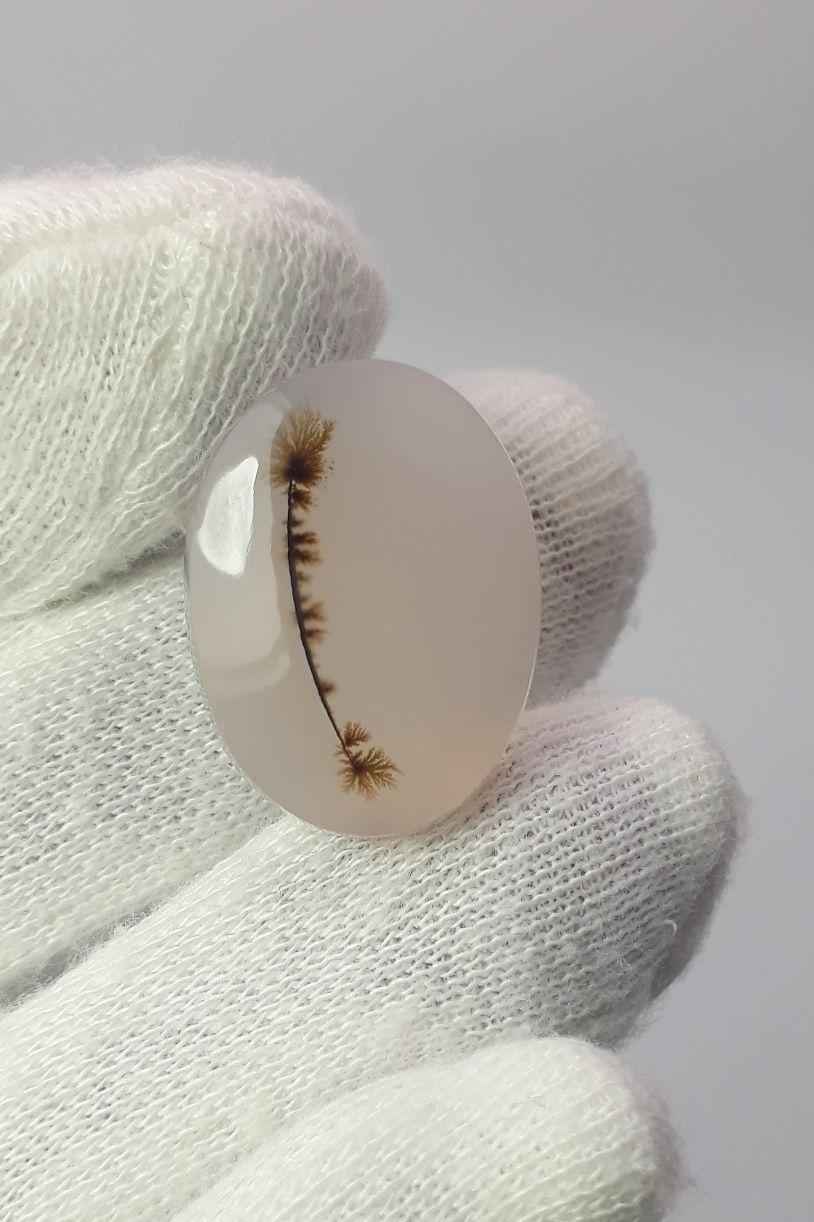 19.1ct Natural Dendritic Agate - Shajri Aqeeq -Dimension-24x18mm