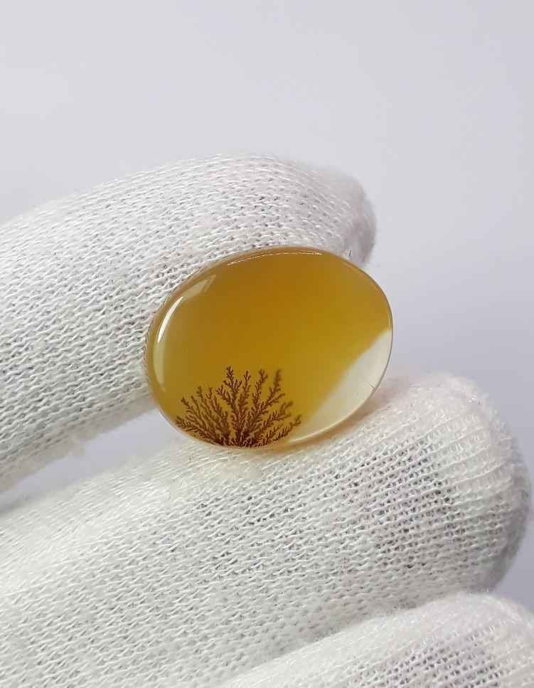 14.8ct Natural Dendritic Agate - Shajri Aqeeq - Dimension-21x17mm