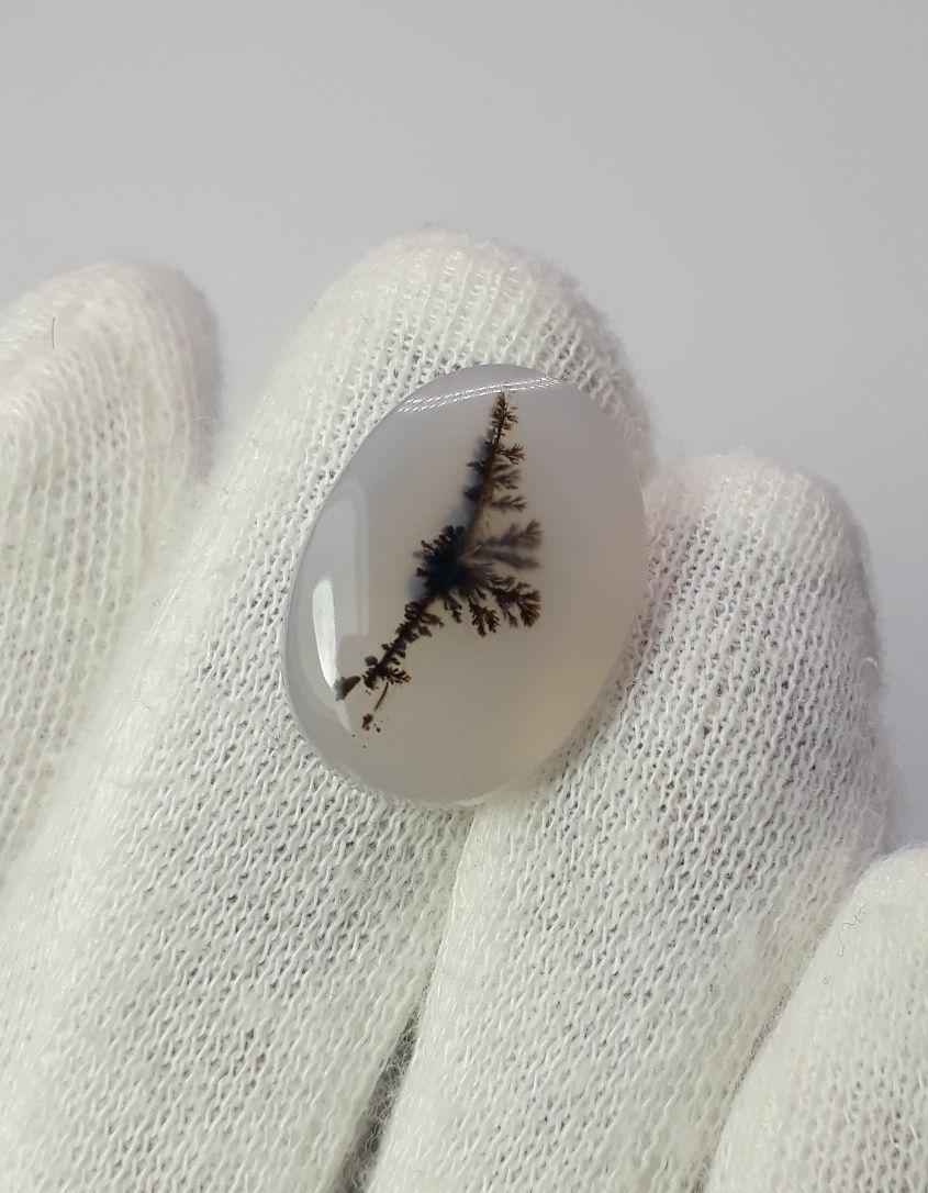 13.4ct Natural Dendritic Agate - Shajri Aqeeq - Dimension-21x16mm