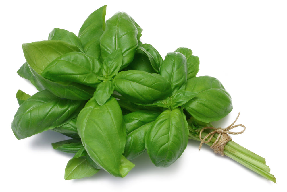 Basil (100g)