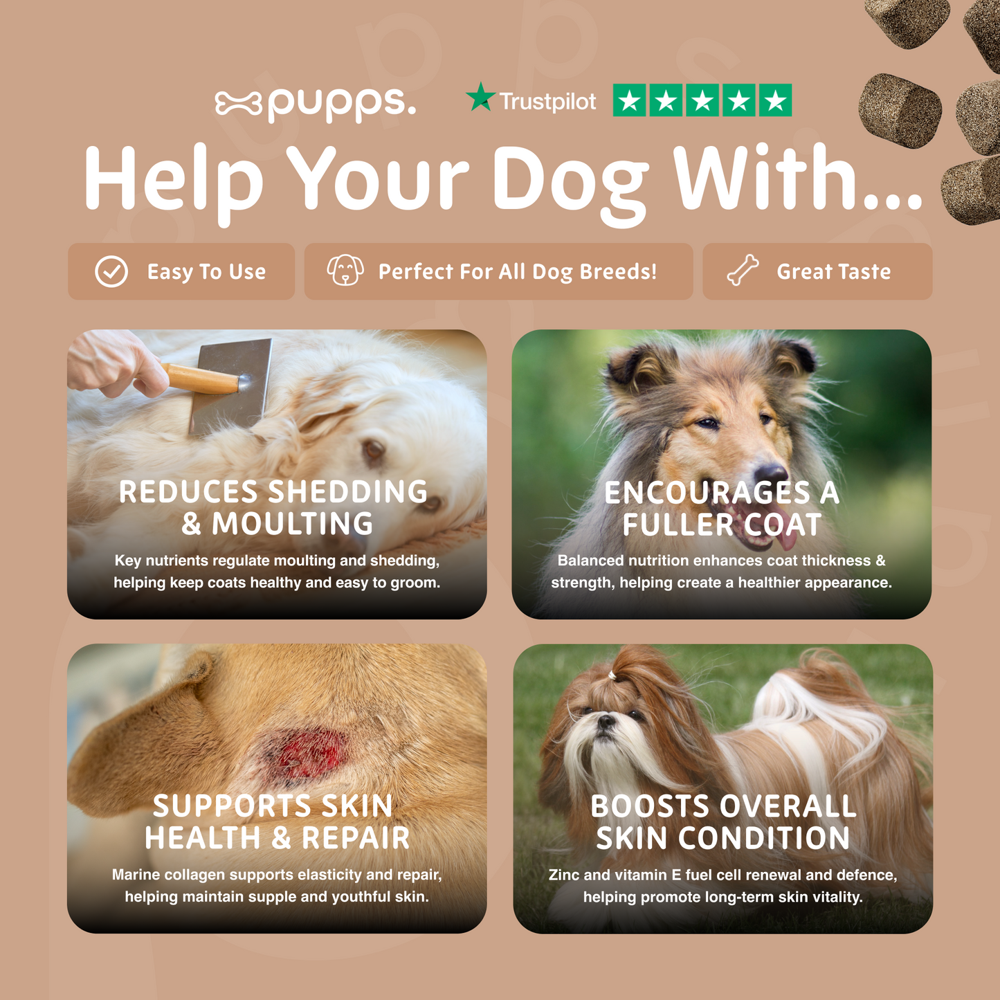Skin & Coat Treats