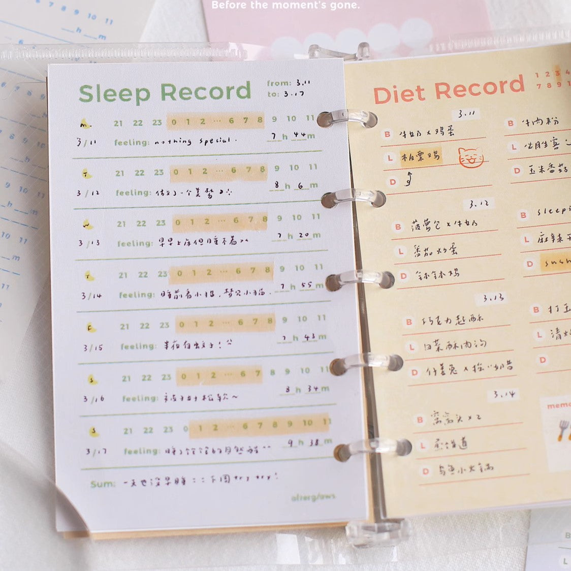 Afterglows | Food Record Memo Note Pad