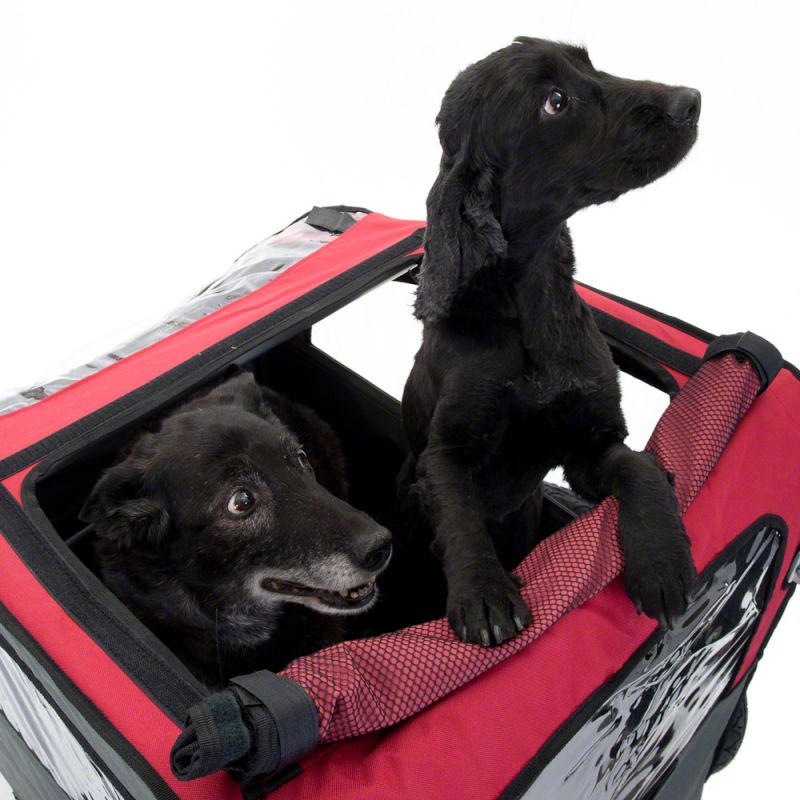 Bellelli Dog Bicycle Trailer with Jogging Kit