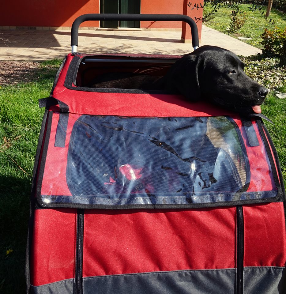 Bellelli Dog Bicycle Trailer with Jogging Kit