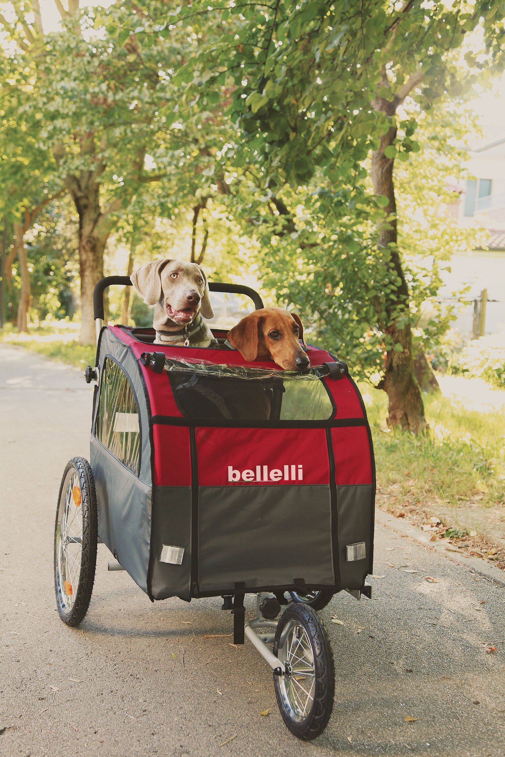 Bellelli Dog Bicycle Trailer with Jogging Kit