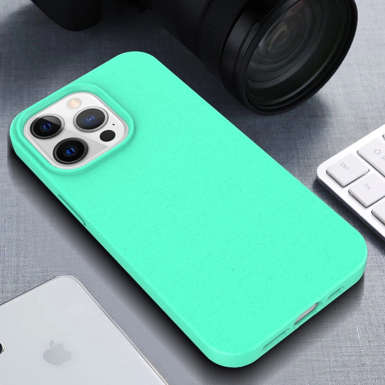 Starry Series Shockproof Straw Material + TPU Protective Case, For iPhone 13 Pro