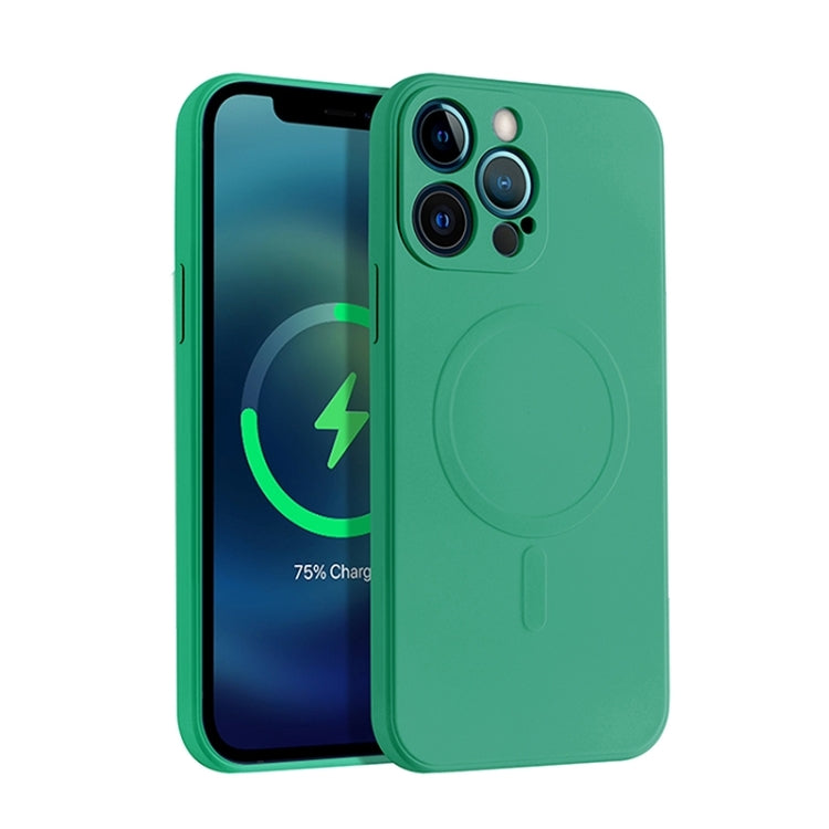 Liquid Silicone Full Coverage Magsafe Phone Case, For iPhone 12 mini, For iPhone 12, For iPhone 12 Pro