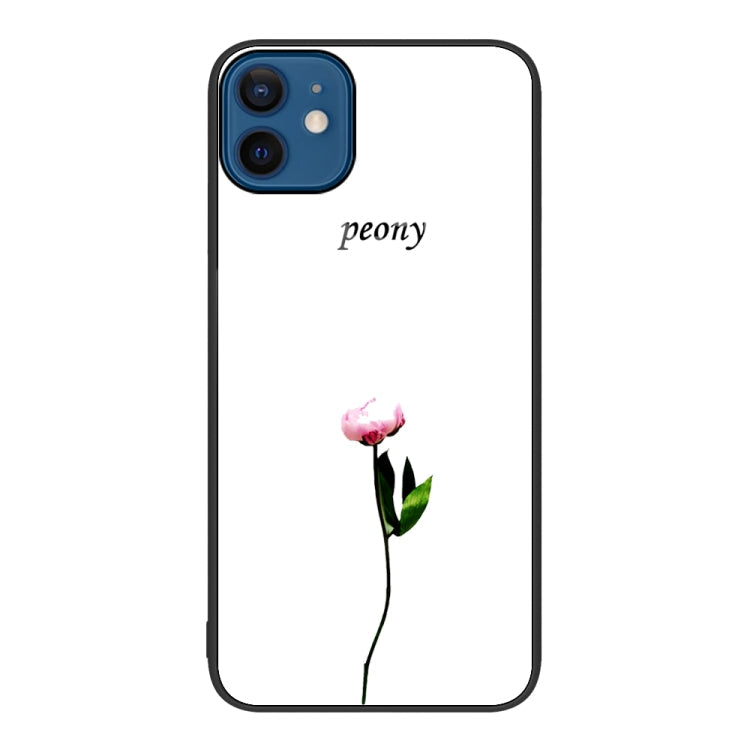 Colorful Painted Glass Phone Case, For iPhone 12 / 12 Pro