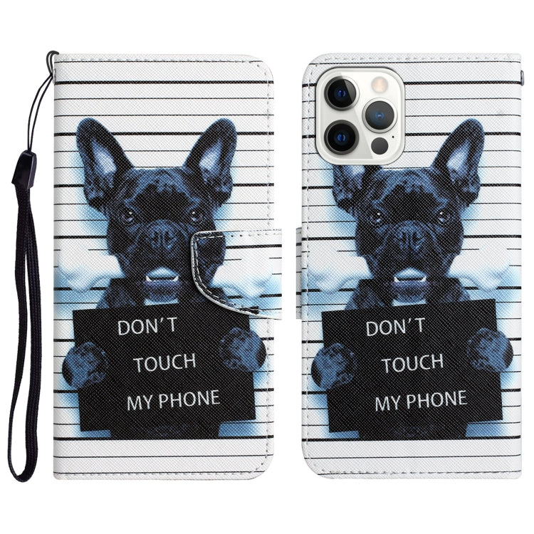 Colored Drawing Leather Phone Case, For iPhone 12 / 12 Pro