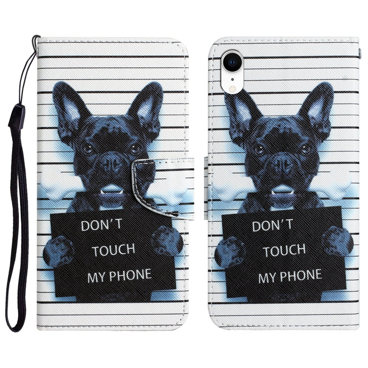 Colored Drawing Leather Phone Case, For iPhone XR