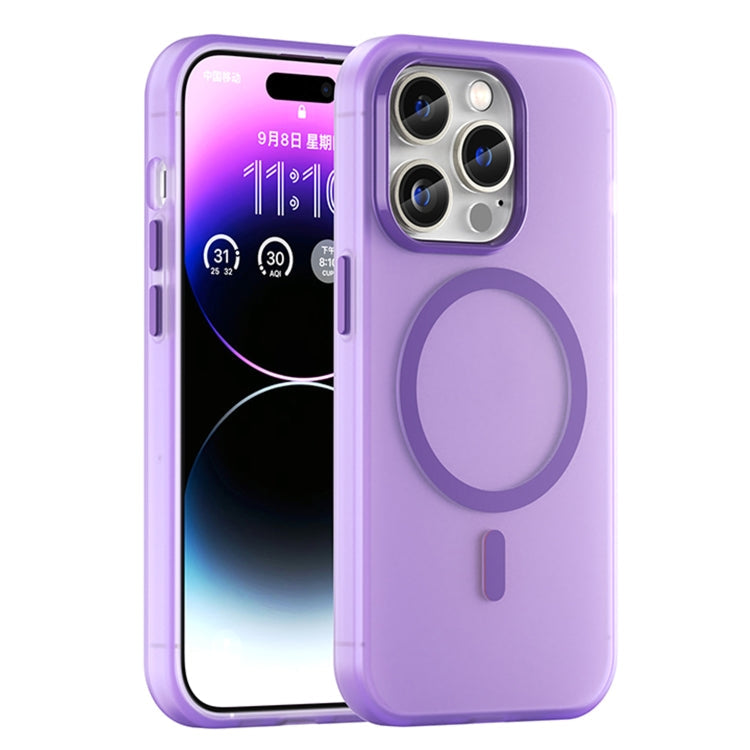 MagSafe Frosted Translucent TPU + PC Full Coverage Phone Case, For iPhone 13 Pro Max, For iPhone 13 Pro