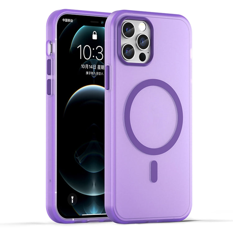 MagSafe Frosted Translucent TPU + PC Full Coverage Phone Case, For iPhone 11 Pro