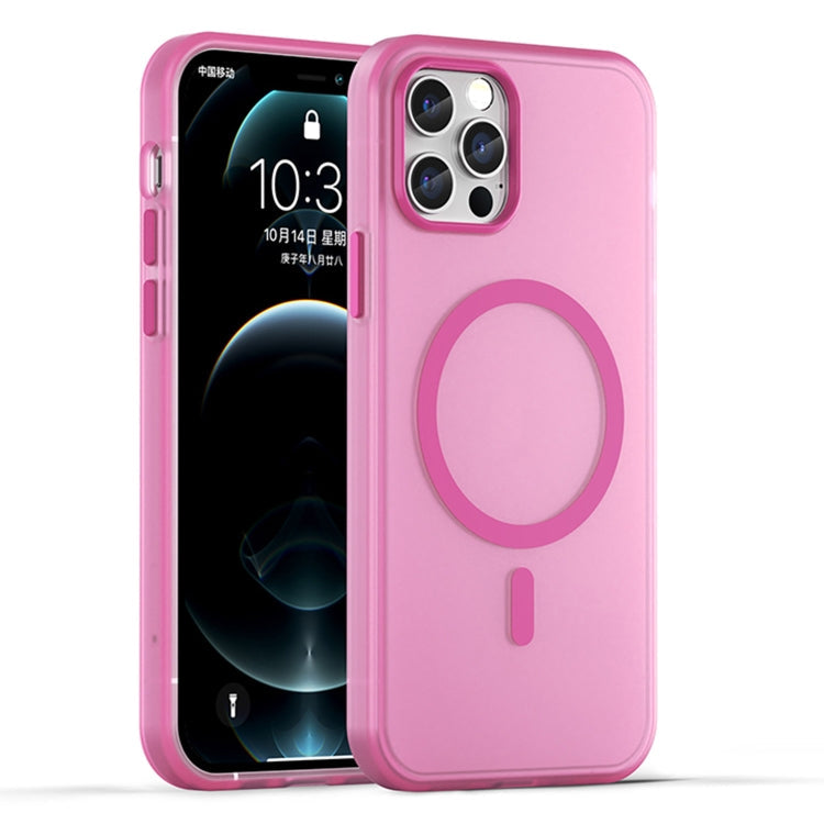 MagSafe Frosted Translucent TPU + PC Full Coverage Phone Case, For iPhone 11 Pro
