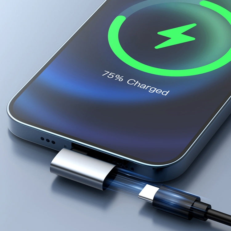 60W USB-A Male to USB-C Female Charging Transfer Adapter