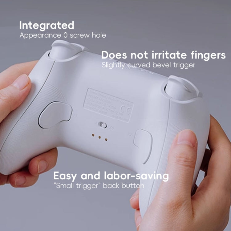 8BitDo Orion NS Wireless Gamepad with Charging Stand – Hall Effect Controls