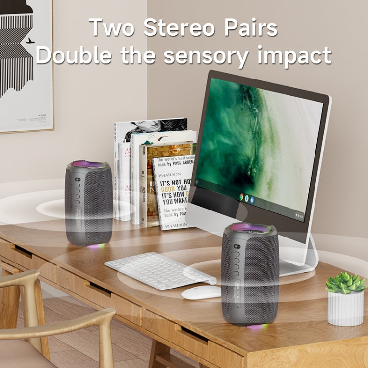 Zealot S61M RGB Rhythmic Light Karaoke Wireless Speaker, Single Mic, Dual Mic