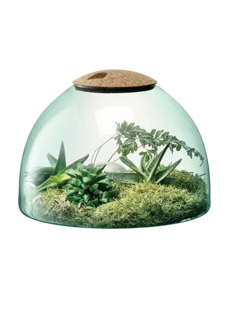 Canopy Closed Gardens - 16.5cm