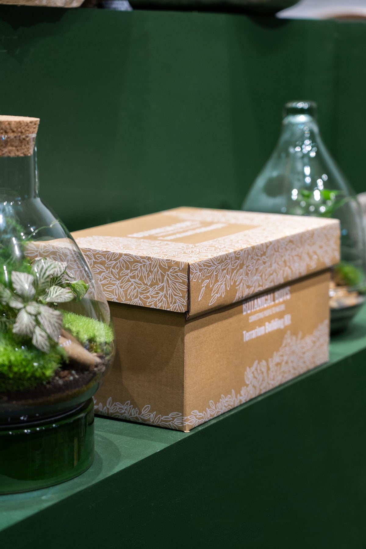 Terrarium Kit ingredients - Large- No glass