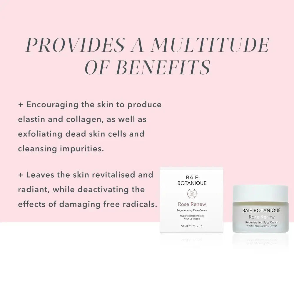 Rose Renew Face Cream