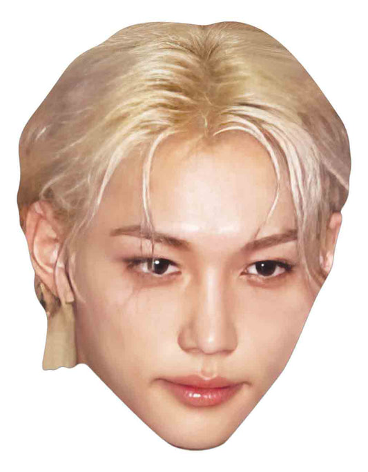 CM269 Felix Stray Kids Single Cardboard Face Mask