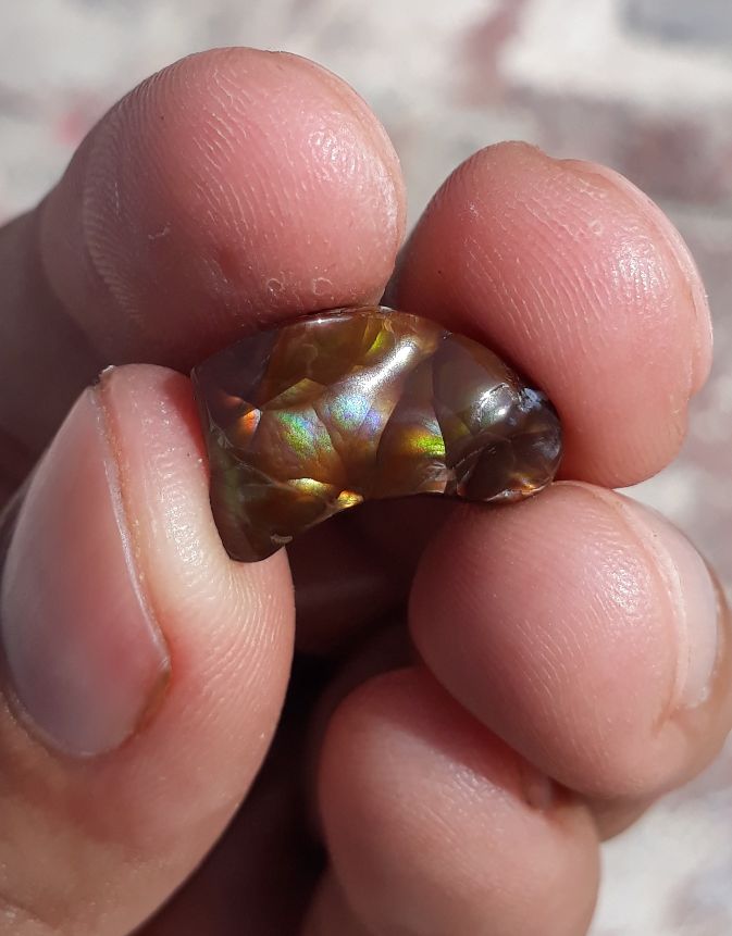 6.8ct Multi Color Mexican Fire Agate, Perfect gemstone Gift for Collector, Dimensions 16x10mm