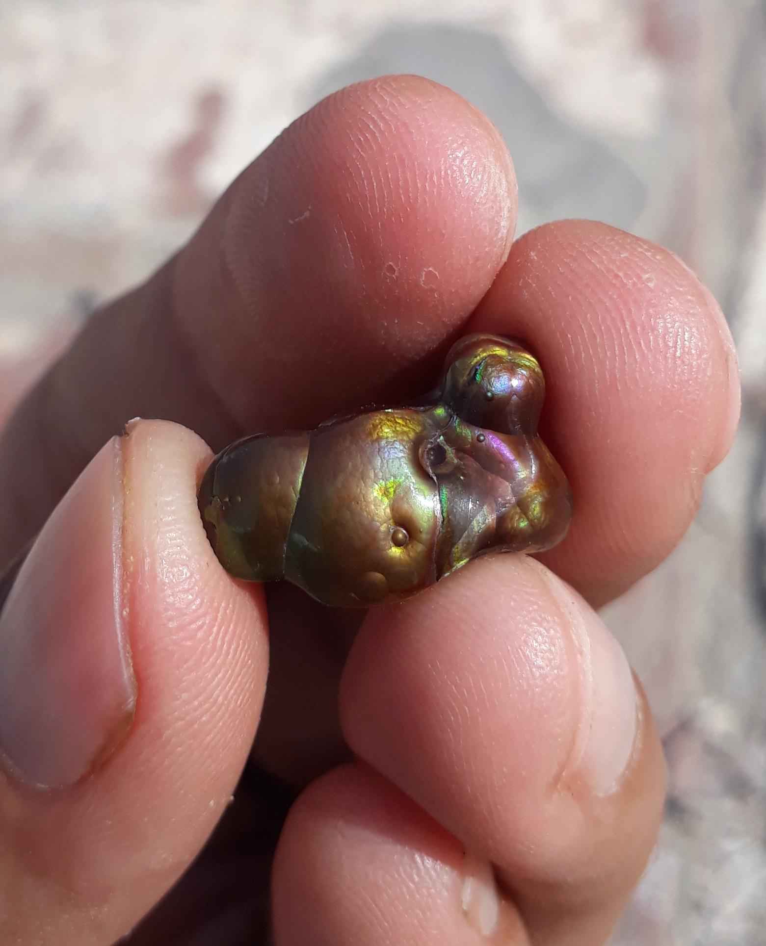 9.2ct Mexican Fire Agate,  Rare Fire Agate, Polished fire agate - Perfect gemstone Gift,  Dimensions 18 x 11 mm