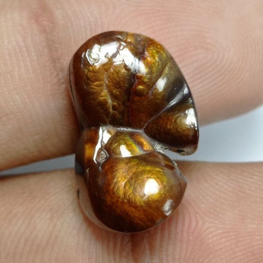 15.4ct Natural Mexican Fire Agate - Dimensions 20x12x8mm