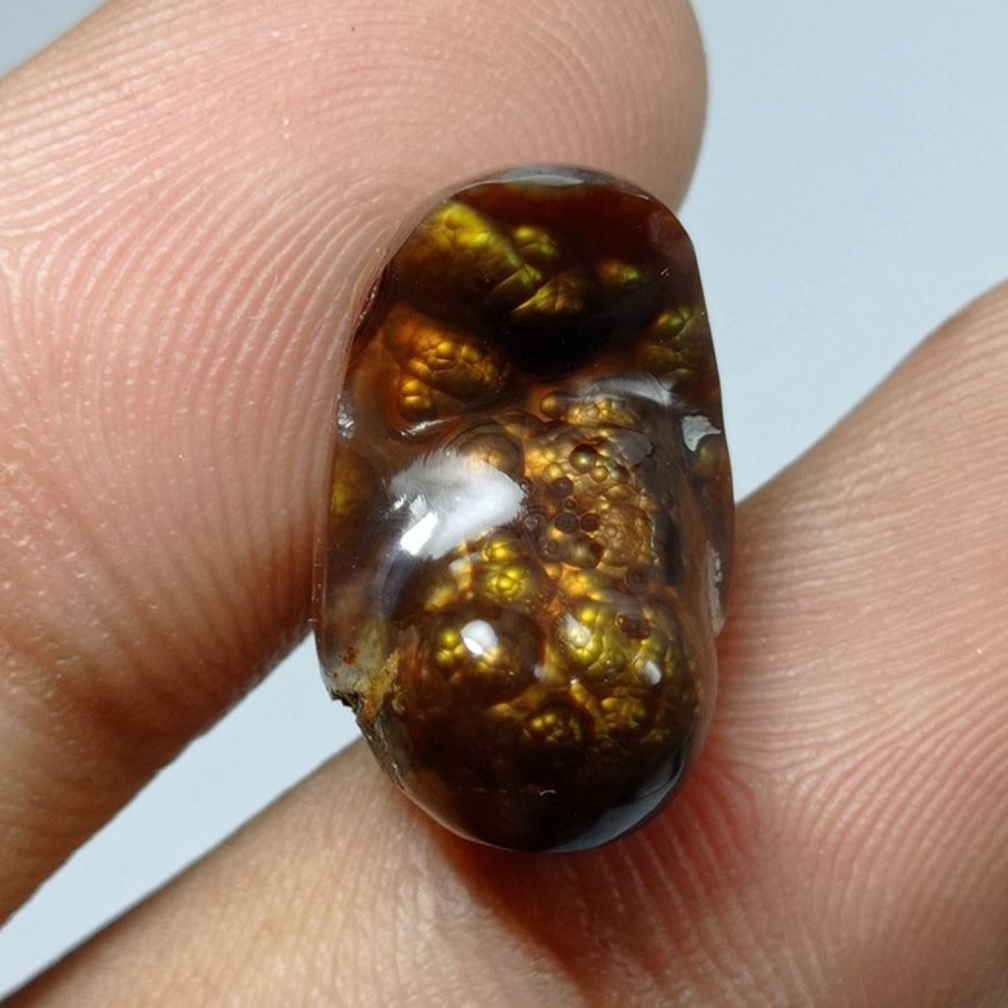 12ct Bubbly Fire Agate Carved Cabochon -  Dimensions 19x11.5x8mm