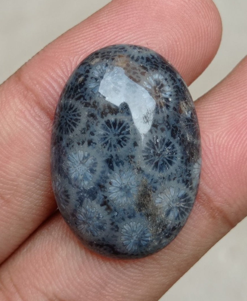 Natural Chrysanthemum Gemstone aka Agatized Coral Cabochon - 29x22x5mm