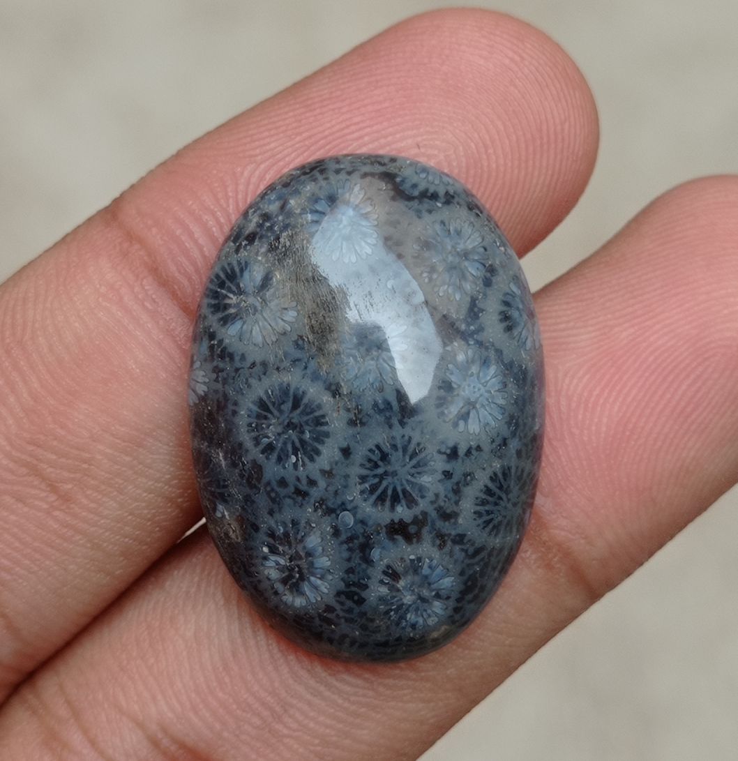 Natural Chrysanthemum Gemstone aka Agatized Coral Cabochon - 29x22x5mm