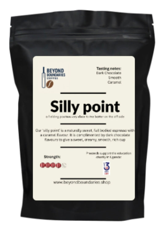 Silly point 1kg